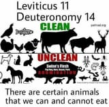 pork_bible_prohibition