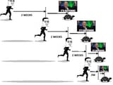 TwoMoreWeeks