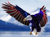 Eagle