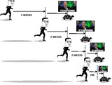 TwoMoreWeeks