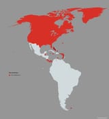 America_6859