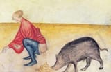 poo_eating_pork