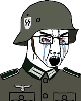 crying nazisoy