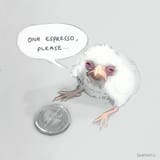 chickespresso