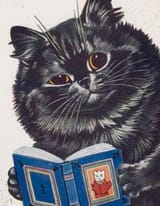 Cat Incredulous
