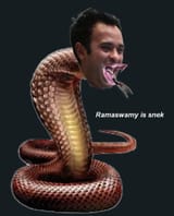 Snek