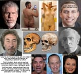 neanderthal link2