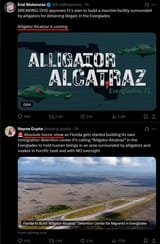aligator alcatraz
