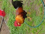 IMG_20240307_133501949