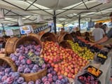 huge-variety-of-plums[1]