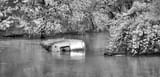 Airstream inna stream