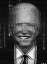 Ai_Biden_Grey