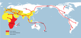 Homo sapiens migrations