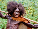 Homo-erectus