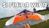 655c4641e6cd4b985e4781ed102ba138--flying-wing-wings-1685812709