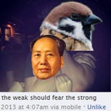 1503283037195
