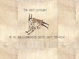 Bayeux-ballesacces