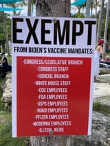 vax scams