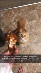 FB_IMG_1747009332070