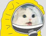 nigger_cat_in_a_hazmat_suit