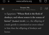 talmud_q_on_race_donkeys_horses