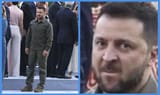 nato-have-turned-their-backs-on-zelensky