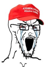 1732200026527600