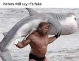 1572479773556