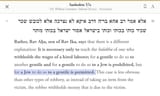 talmud_q_on_double_standards_wages