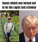 trump criminal rapist1