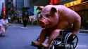 hogwheels_thumb.jpg