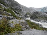 DSCN6586
