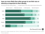 ethnocentricity