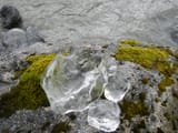 DSCN9918