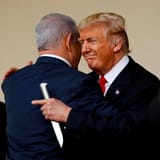 Orange nigger traitor