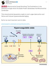 vxx-mitochondrial-carpet-bombing-rapid-aging