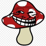 lol lmao