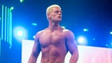Cody