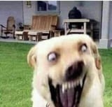 1746036949741091