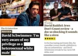 david schwimmer 