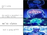 slaves-meta