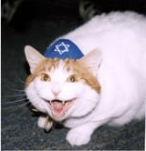 mkiweuljok6d1