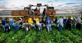 Farm-workers-700x468
