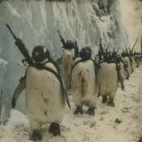 rare-picture-of-the-anti-flerf-penguin-specialist-unit-v0-bc1imqdh8kkd1