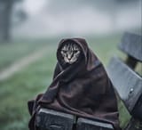the_end_is_nigh