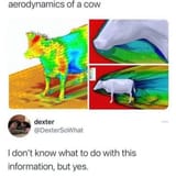 1747252206650224