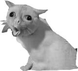 1630563315251
