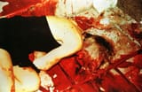 oj-simpson-murder-nicole-brown-7