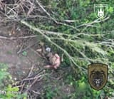 IMG_20250624_105127_269