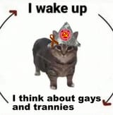 1737040220891763
